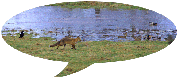 win-win-Lösungen in der Textmühle